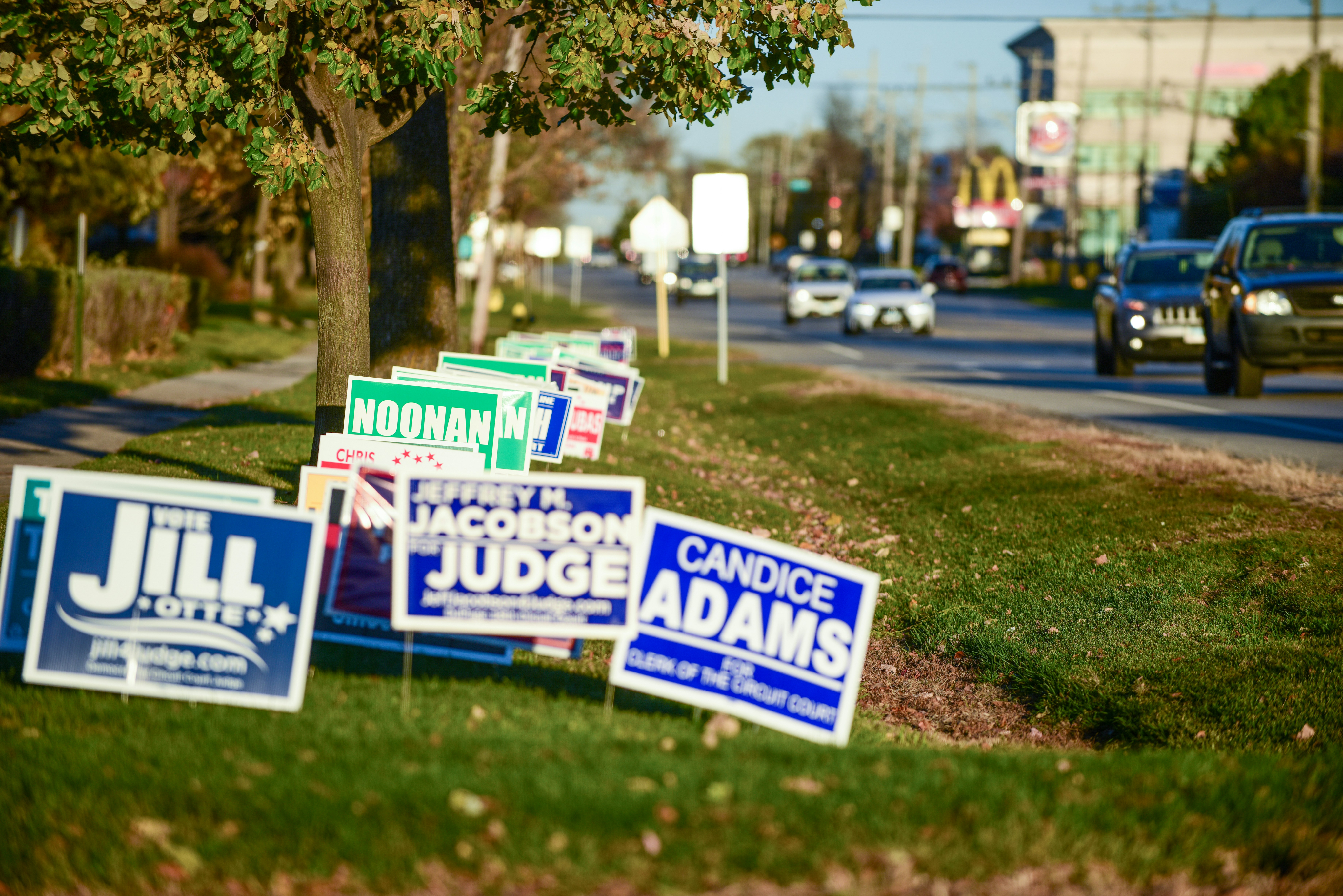 Campaign Yard Signs