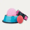 Pet gear