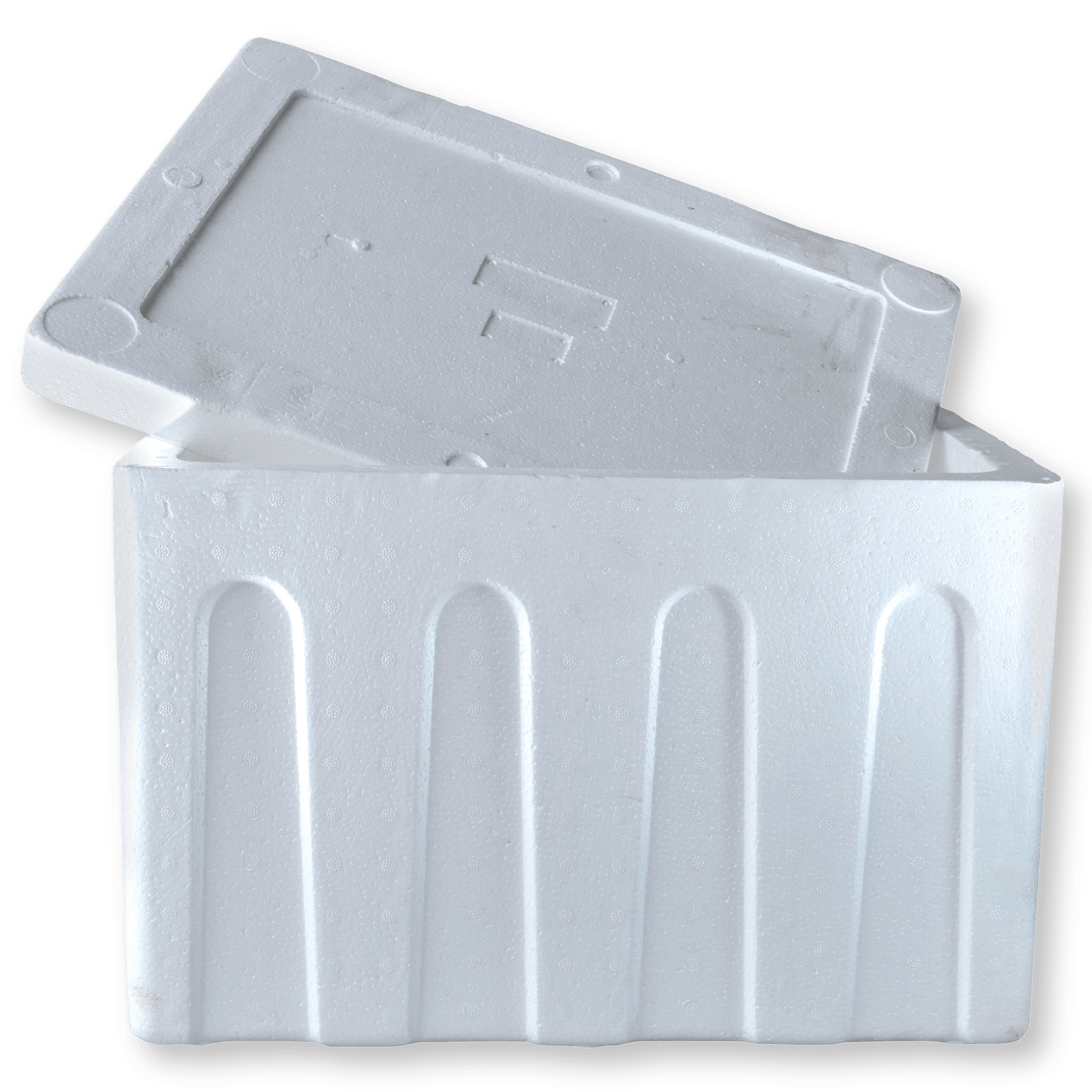 Styrofoam